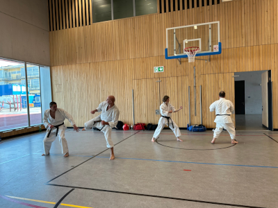 Karate Seminar 2023 in Deutschland_9